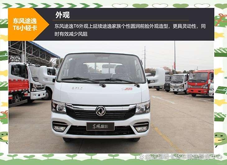 东风轻卡货车途逸T6(图7)